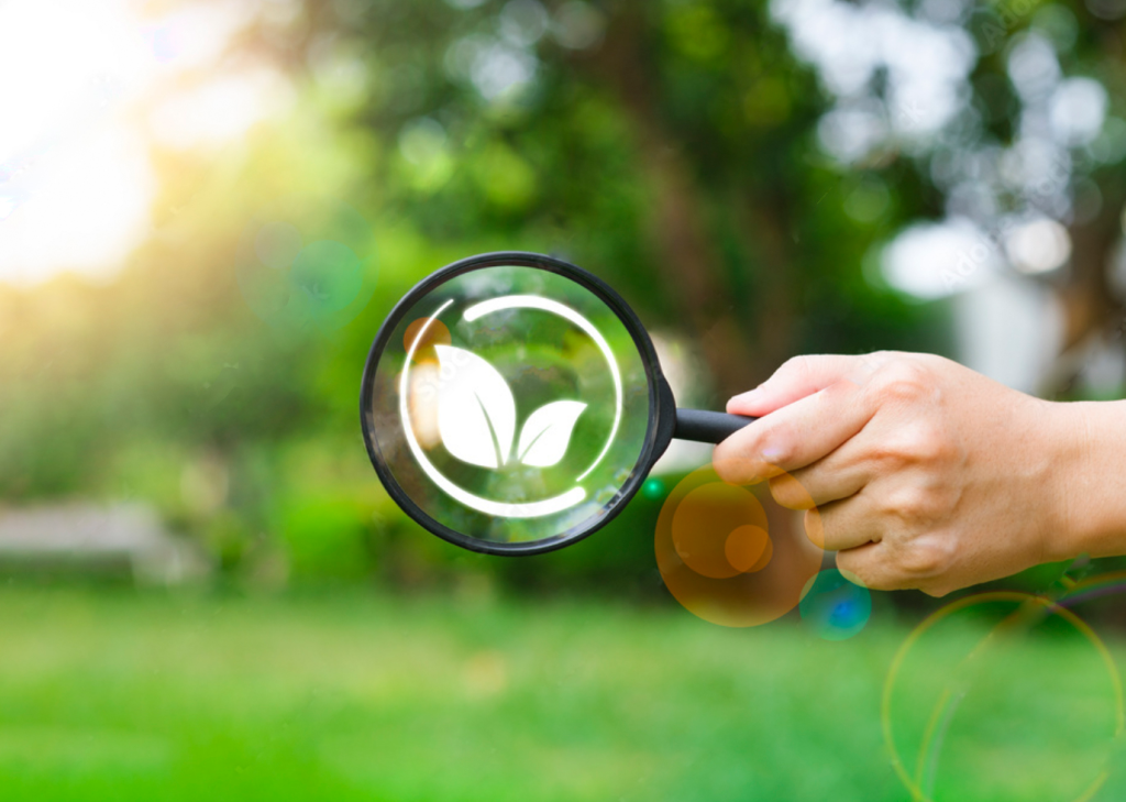 plant magnifying glass final 1 2.webp