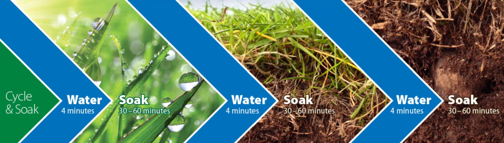 cycle and soak irrigation