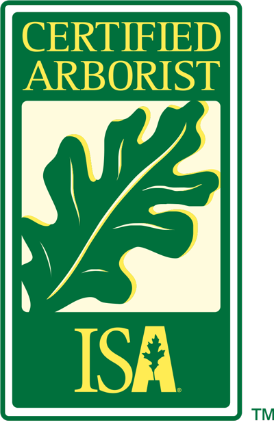 ica 400