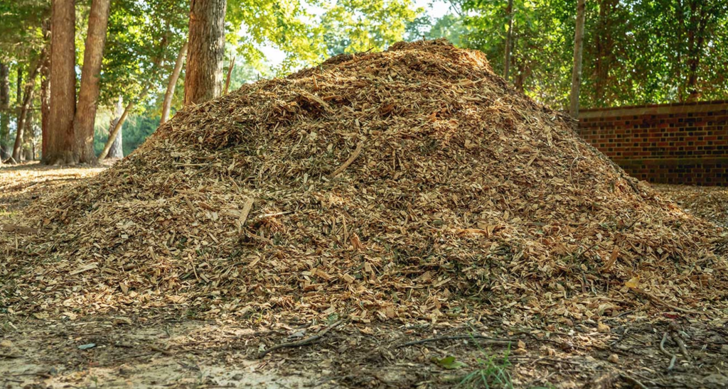 wood chip pile