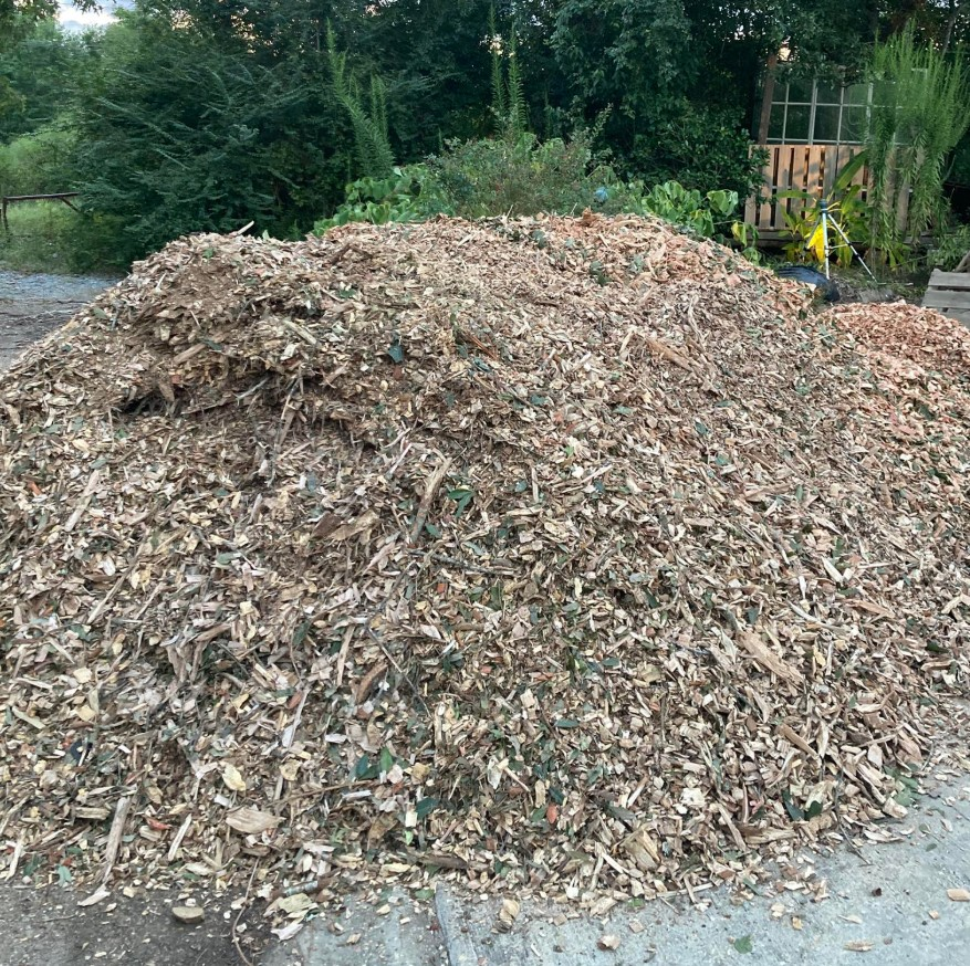 wood chips and nitrogen lock up