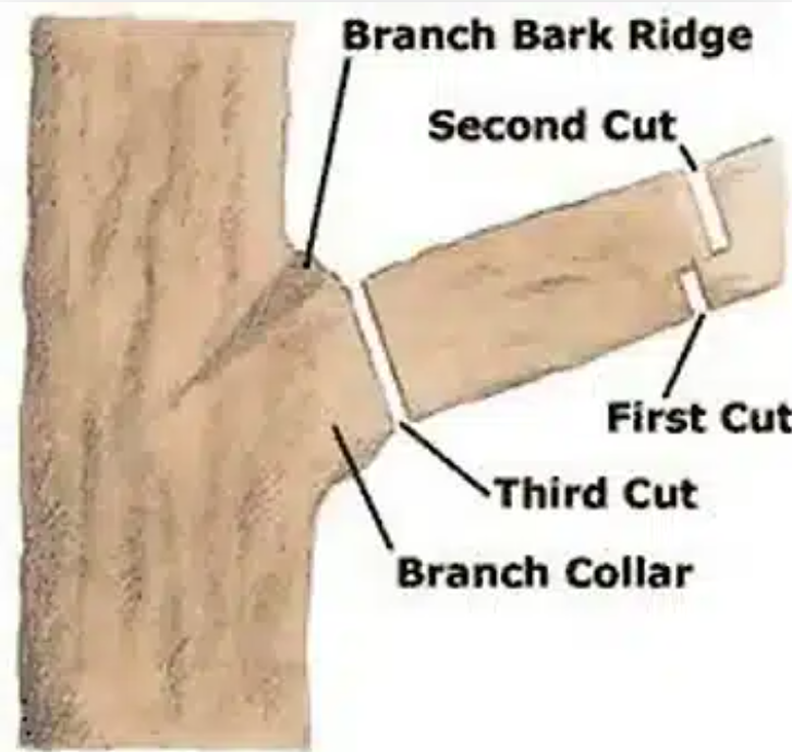 image 2026 03 07 171634194