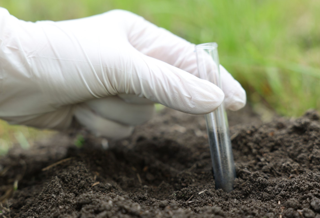 soil sample 1